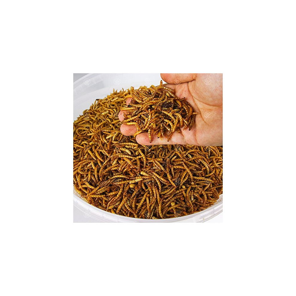 Mealworms 5Kg Wild Bird Dried