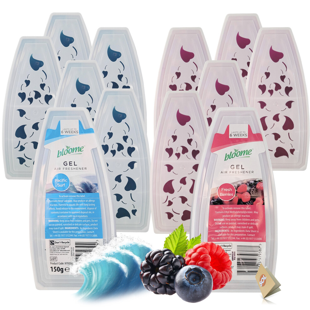 (12 pieces) Solid Gel Air Freshener 150g Home Room Freshner