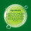 Limca Can 330ml- Cold Drink Beverage - Soft Refreshing Lemon Drink 3