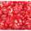 Squirrel Cherry Lips 2.25kg 2