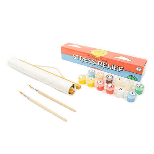 The Mindful Painter Painting Guide Kit (Stress Relief)