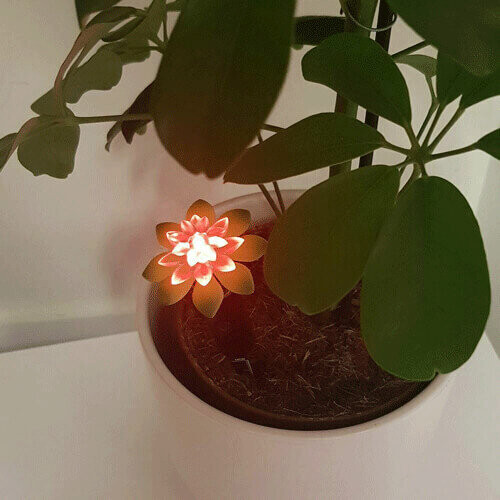 Mayhem UK Flower Moisture Sensor 2