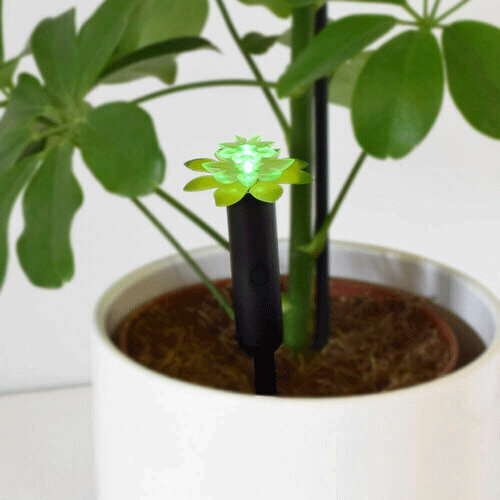 Mayhem UK Flower Moisture Sensor 1