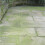 Patio Algae Killer Cleaner Apply and Leave Non Acid or Bleach Biodegradable 4