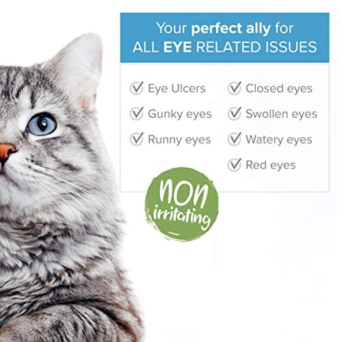 INSTITUT KATHAROS Eye Drops for Dogs & Cats - Fights Eye Infection ...