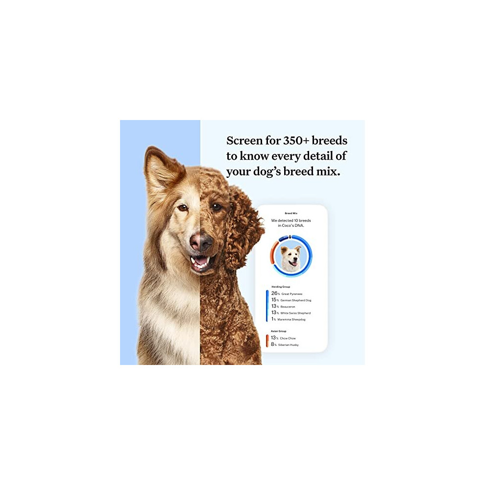 Wisdom panel health breed & health identification dog dna test kit hotsell