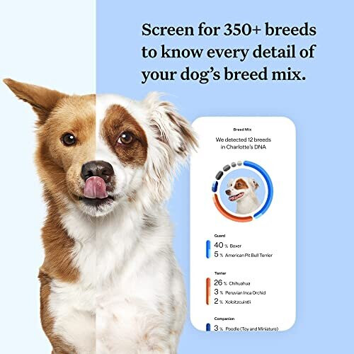 Wisdom Panel Breed Discovery - Dog DNA Collection Kit 2.0, white 1