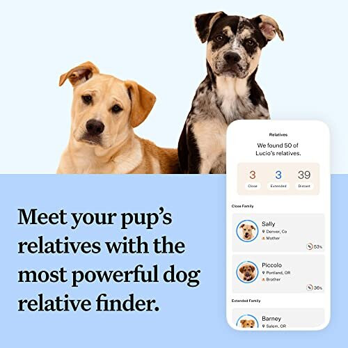 Wisdom Panel Breed Discovery - Dog DNA Collection Kit 2.0, white 2