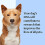 Wisdom Panel Breed Discovery - Dog DNA Collection Kit 2.0, white 4