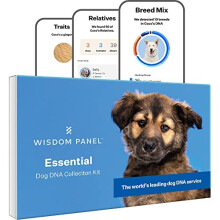 Wisdom Panel Essential Dog DNA Test Kit - 350+ Breeds, Breed ID & Ancestry, 25+ Health Insights, Traits & Relatives | Code 8.96E+11