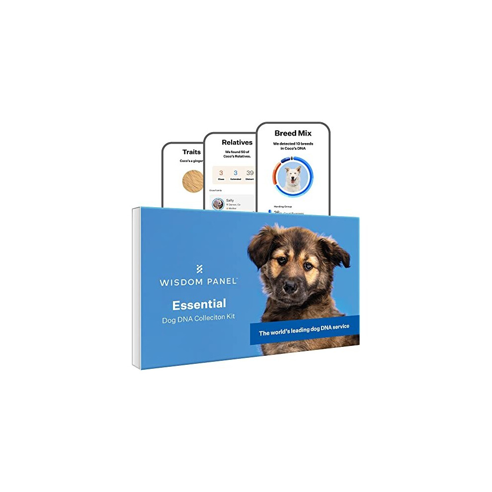 Wisdom Panel Essential Dog Dna Test Kit - 350+ Breeds, Breed Id & Ancestry, 25+ Health Insights, Traits & Relatives | Code 8.96E+11