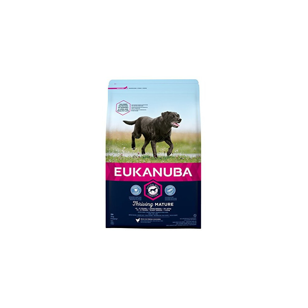 Eukanuba Mature Dog Food For Large Dogs Rich in Fresh Chicken For the Optimal Body Condition of Your Dog 3kg