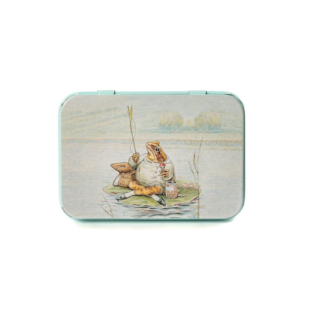 Wildflower Seed Ball Tin Wildlife Lover Beatrix Potter Jeremy Fisher