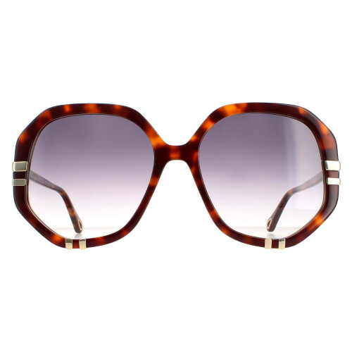 Chloe Chloe Sunglasses CH0105S 004 Tortoise Grey Gradient