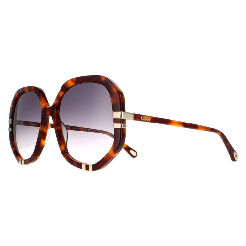 Chloe Chloe Sunglasses CH0105S 004 Tortoise Grey Gradient 1