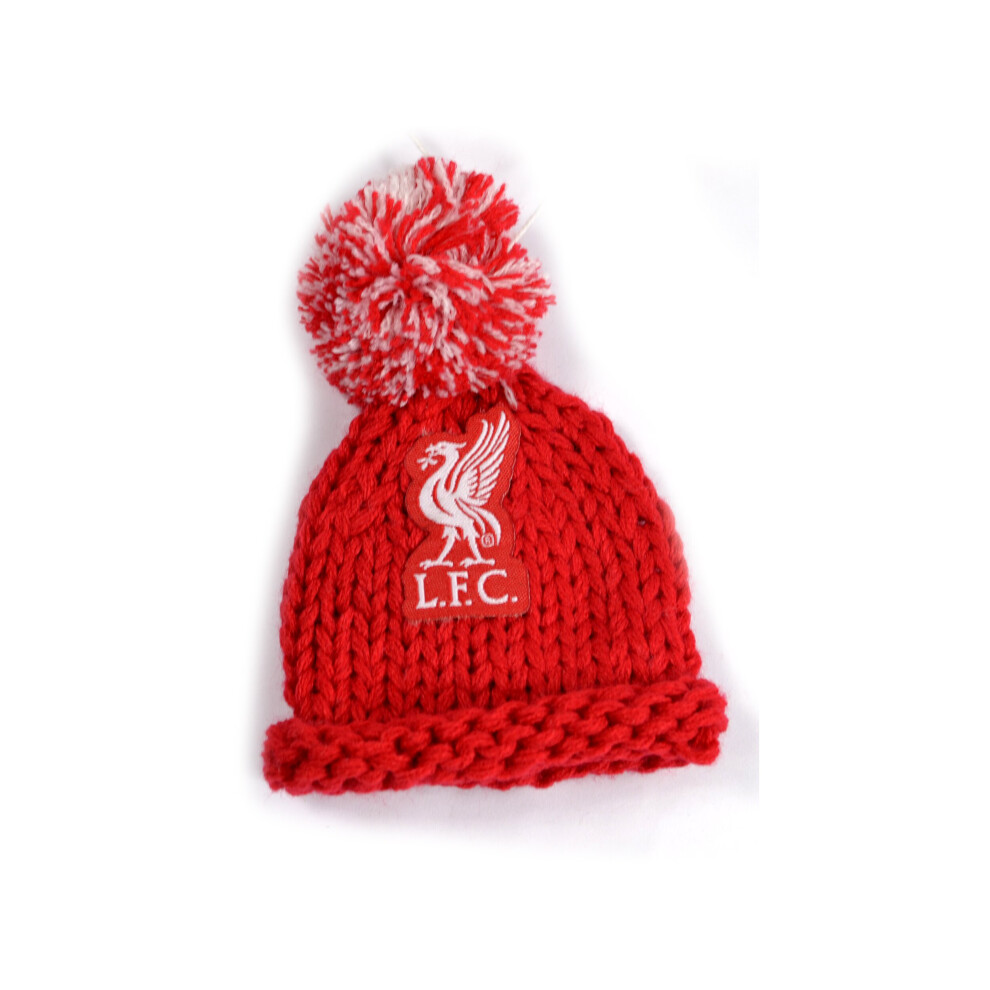 Liverpool Car Hanging Knitted Bobble Hat Liverbird