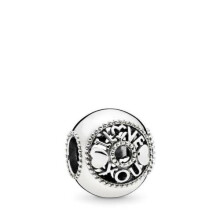 Pandora Talk About Love Charm 796601