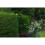 Ryobi Ryobi RPT184520C 18V ONE+ Cordless 45cm Pole Hedge Trimmer Starter Kit 3