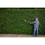 Ryobi Ryobi RPT184520C 18V ONE+ Cordless 45cm Pole Hedge Trimmer Starter Kit 4