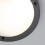 Litecraft Mari Large Flush Bathroom Light - Black 4