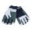 (L) Amara Synthetic MarineTech Sailing Gloves (Cut Finger) 1