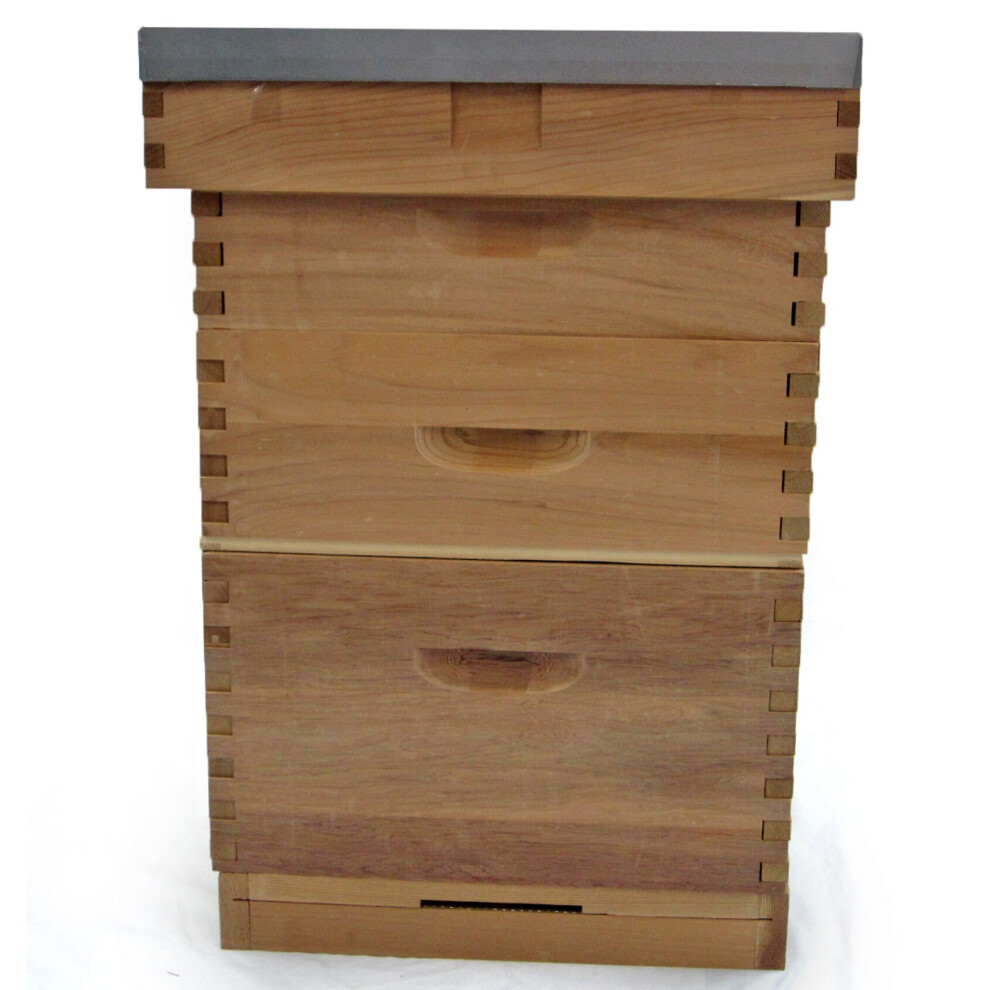 Actiasbee Langstroth Beehive In Cedar With Flat Roof