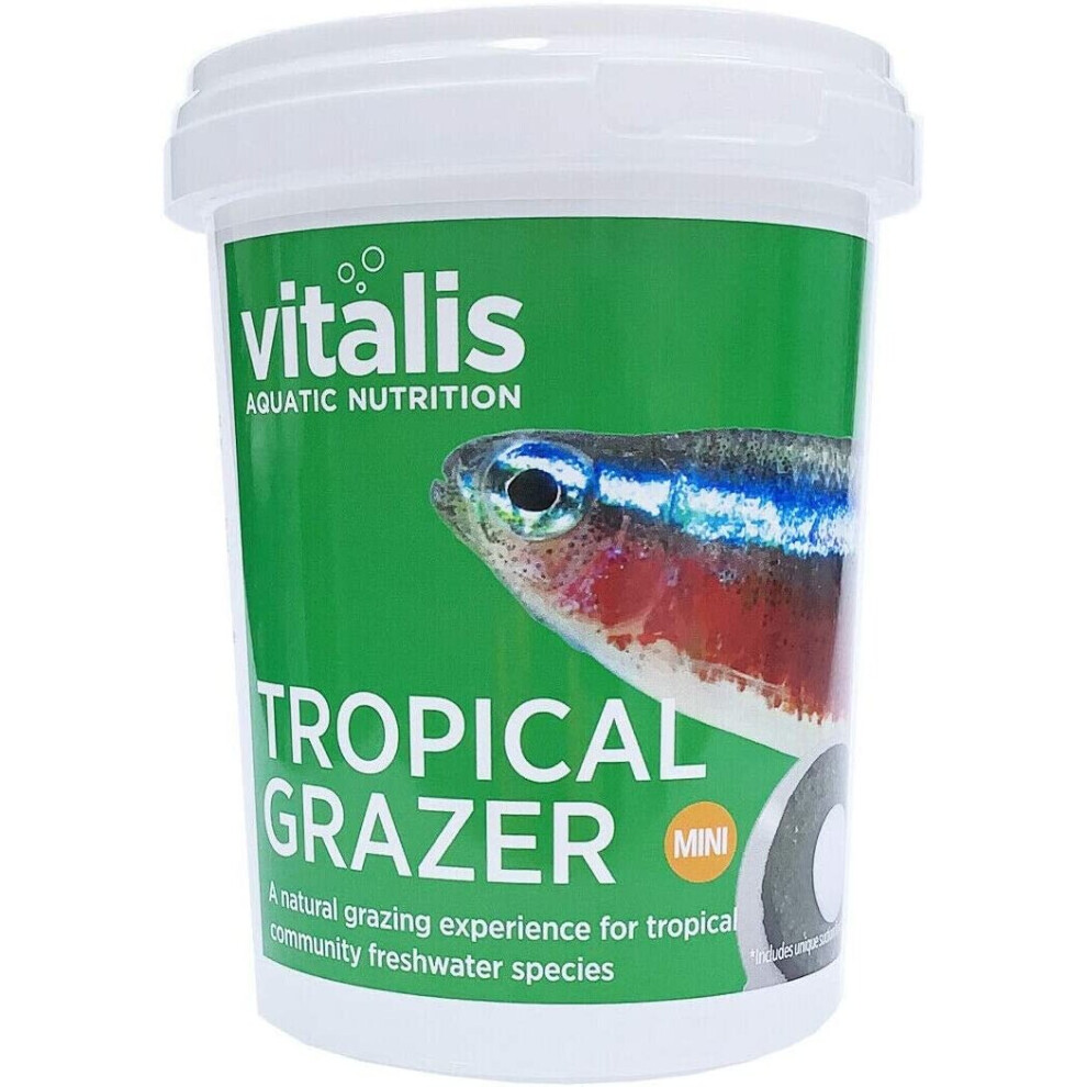 Vitalis Tropical Grazer Mini 240g Fish Food