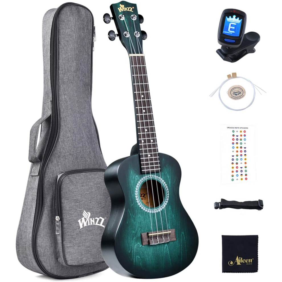 Winzz Ukulele Concert 23 Inches Ukulele Beginner Kit for Adults, Unique Color Designâ¦