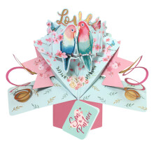 Love Birds Son & Partner Pop Up Anniversary Card Suit Any Romantic Occasion
