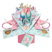Love Birds Sister & Brother-In-Law Pop Up Anniversary Card Suit Any Occasion