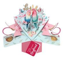 Love Birds To My Boyfriend Pop Up Anniversary Card Suit Any Romantic Occasion