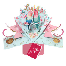 Love Birds To My Darling Wife Pop Up Anniversary Card Suit Any Romantic Occasion