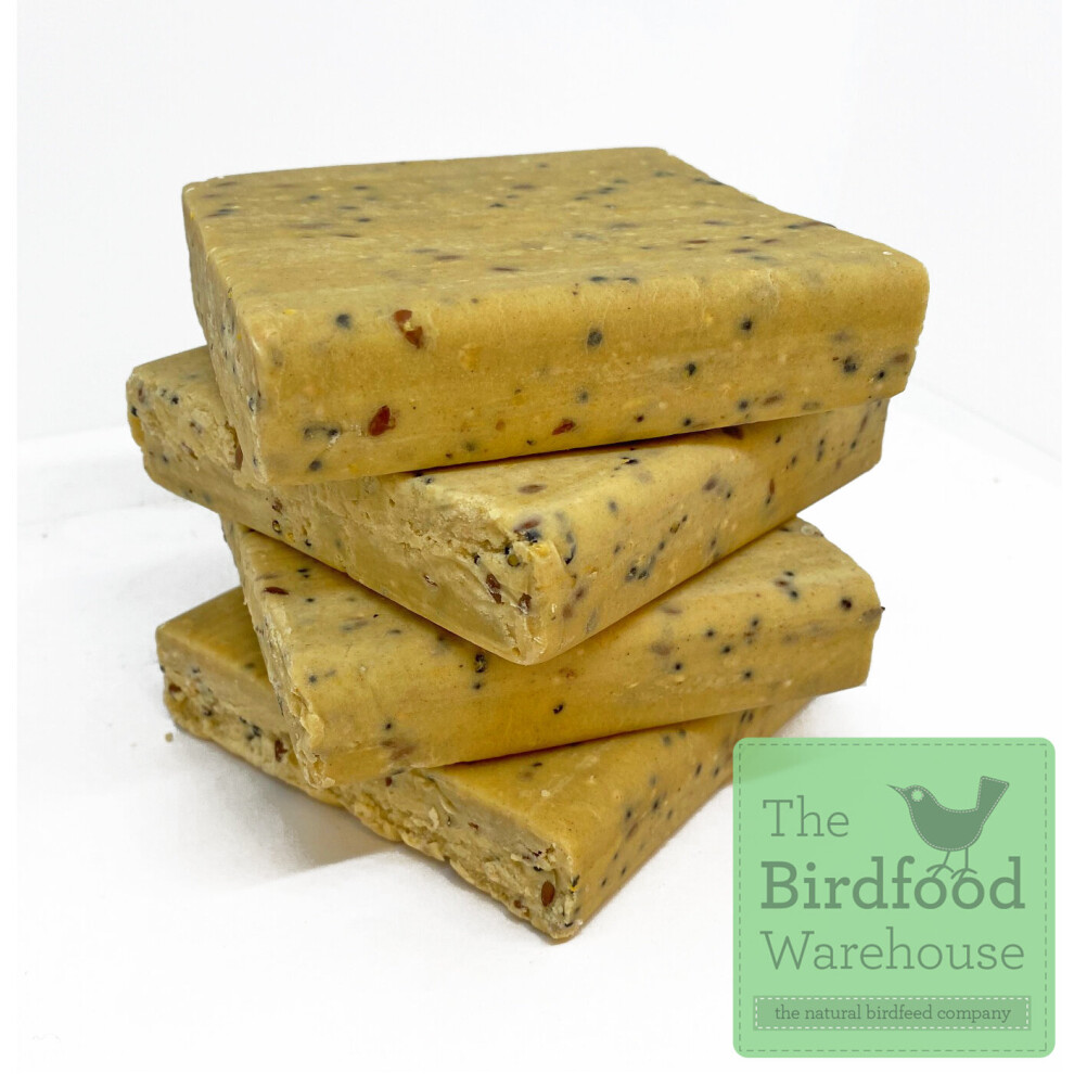 Insect & Mealworm Suet Blocks, Insect Fat Suet, HIGH ENERGY, (96 Pack)