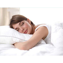 AR Textile Hotel quality Pair of Pillow Protectors with Zip, 100% Cotton, Anti allergenic pillow protectors, Standard Uk size (74x48 cm) pillow