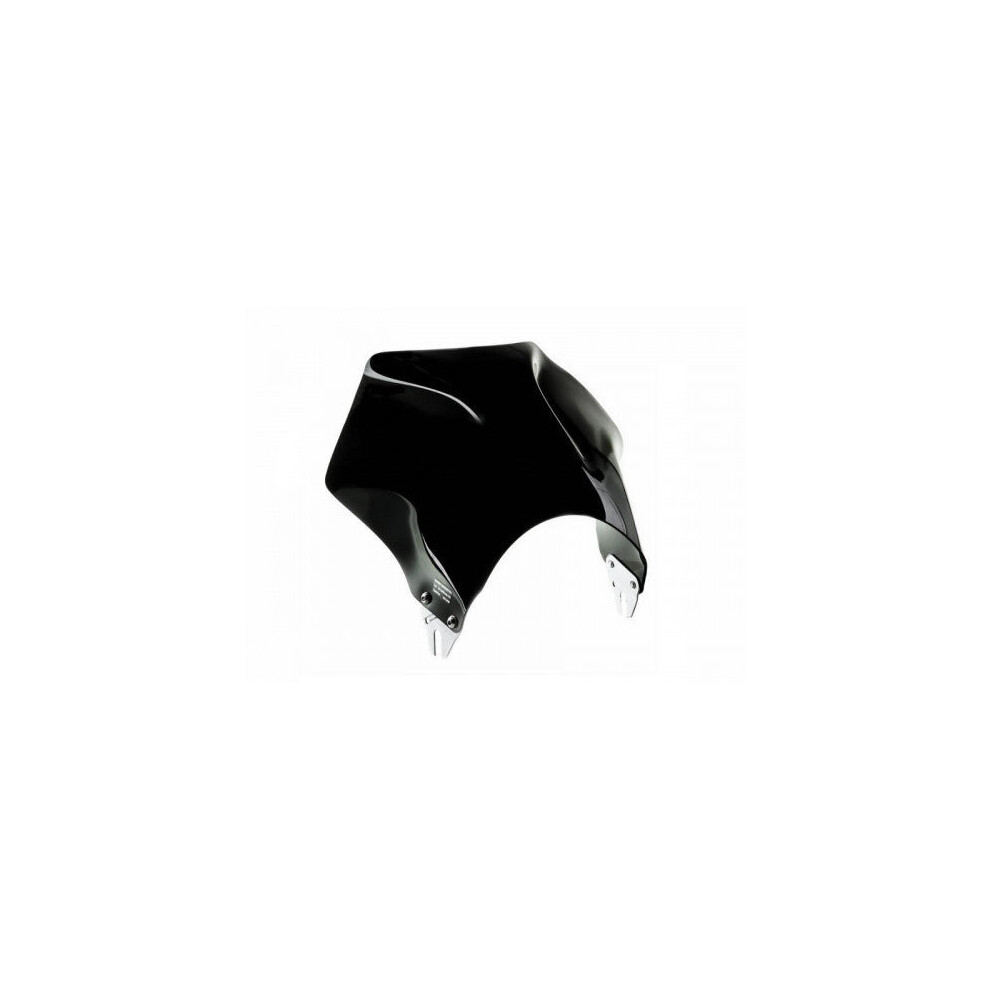 Puig Raptor Screen For Suzuki 125 Xt (99-00) Black 013000000789