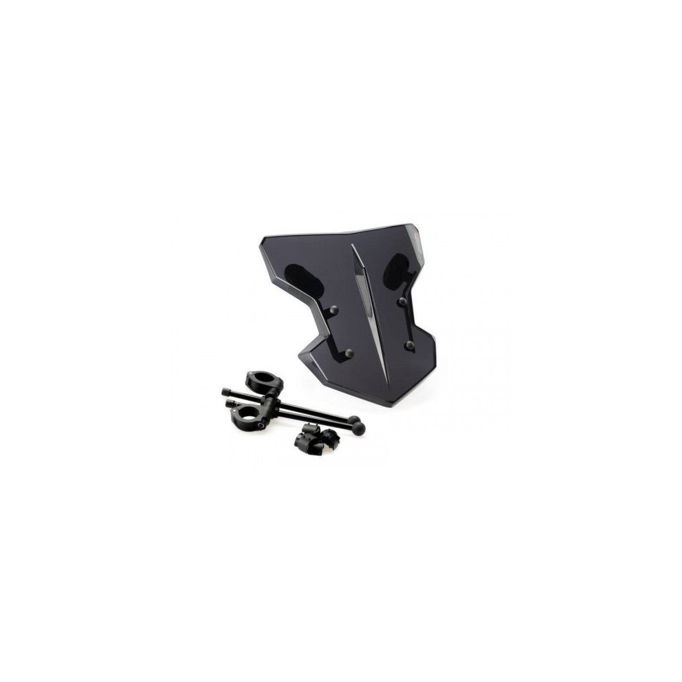 Puig Flanker Screen Smoke For Zontes (17-23) Dark 8435529323040