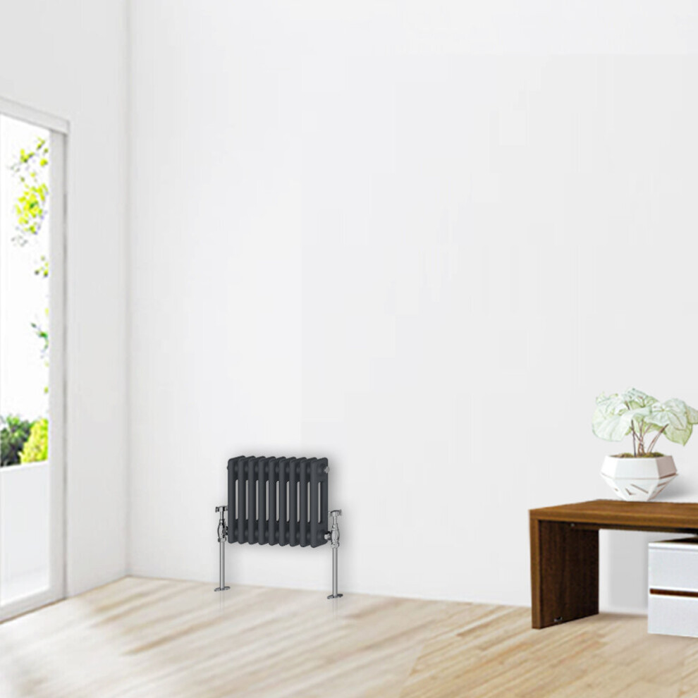 Nrg (300 X 425Mm-2 Column) Traditional Anthracite Cast Iron Style Radiator