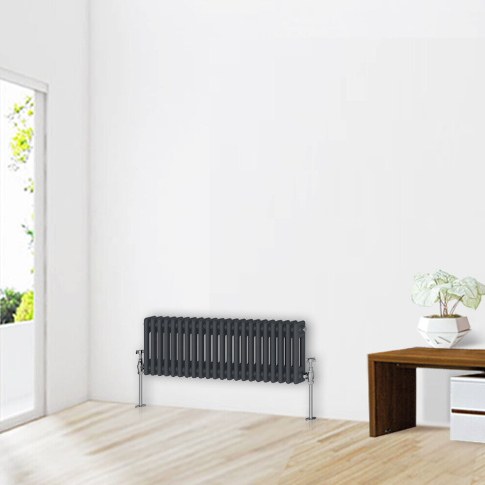 Nrg (300 X 1010Mm-2 Column) Traditional Anthracite Cast Iron Style Radiator