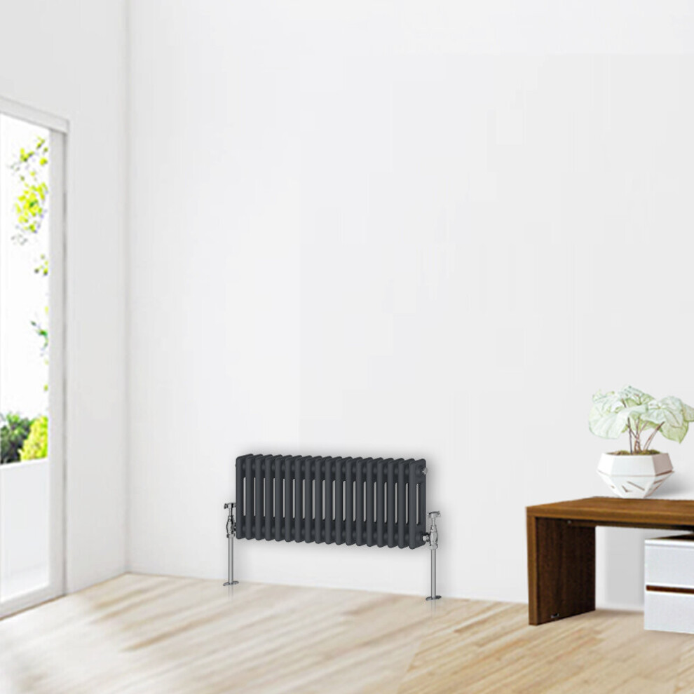 (300 X 830Mm-2 Column) Nrg Traditional Anthracite Cast Iron Style Radiator 5059490121783