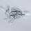 Litecraft Kalina Semi Flush Ceiling Light - Polished Chrome 3