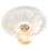 Litecraft Suilven Paintable Flush Medium Plaster Ceiling Rose - White 1