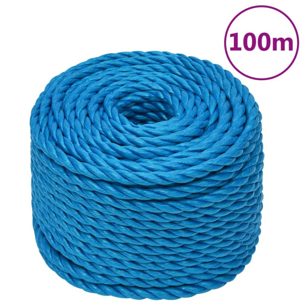(Blue, 20 Mm/ 100 M) Vidaxl Twisted Rope Garden Workshop Line Work Rope Boat Rope Polypropylene 8720287131984