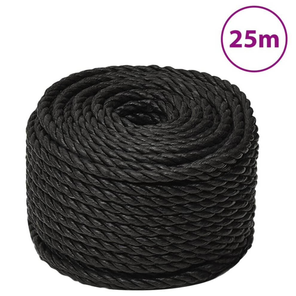 (Black, 12 Mm/ 25 M) Vidaxl Twisted Rope Garden Workshop Line Work Rope Boat Rope Polypropylene 8720287132226