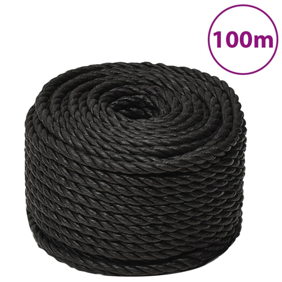 Vidaxl (Black, 16 Mm/ 100 M) Twisted Rope Garden Workshop Line Work Rope Boat Rope Polypropylene