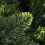 VidaXL vidaXL Artificial Pre-lit Christmas Tree with Pine Cones Artificial Tree Green 7