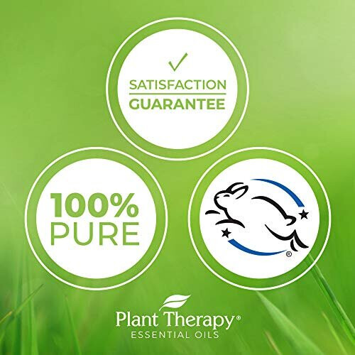 Plant Therapy Κανέλα Βαθιά Αιθέρια Έλαια 10 mL (1/3 oz) 100% Καθαρή, Άσχετη, Αρωματική Κανέλα 2