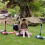New Olym Kids Scooter?Toddlers 3 Wheel Scooter for Boy and Girls?Big Flashing Wheels Adjustable Scooter with Safety Brake for Little Children Ages 2-1 6