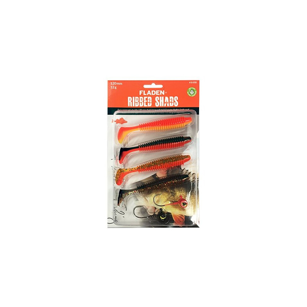 FLADEN Fishing - 4 x SOFT LURE RIBBED SHADS Assortment - Imitation Bait Fish for Predatory Fishing - Comes with 2 Lead-Free Jig Heads (Pack 1, 4 x 8cm