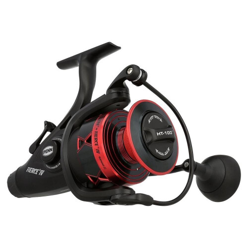 Penn Penn Fierce IV 6000 LL