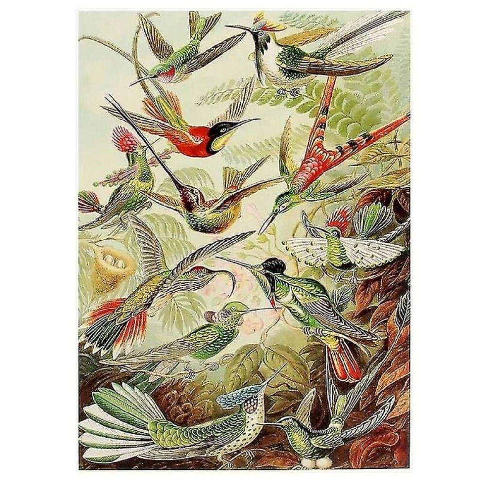 3D Pieces Jigsaw Puzzle Animal Hummingbird Sale Educational Toys Family Game|model Building Kits-image-OPC-PBB7M2W-NEW